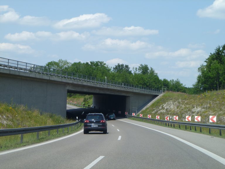 s137-0006 s137-0006