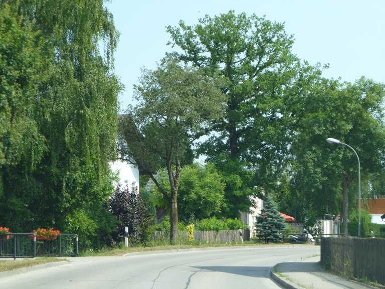 s137-0112 s137-0112