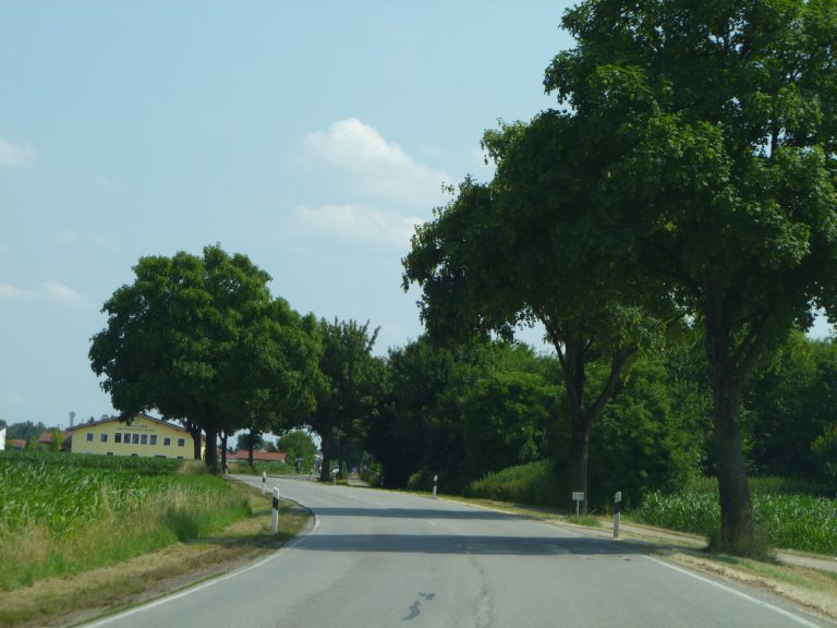 s137-0114 s137-0114