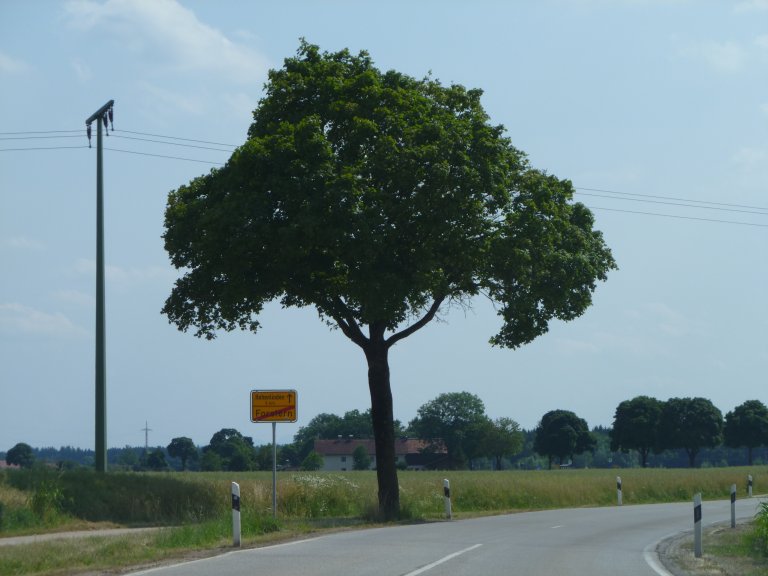 s137-0118 s137-0118