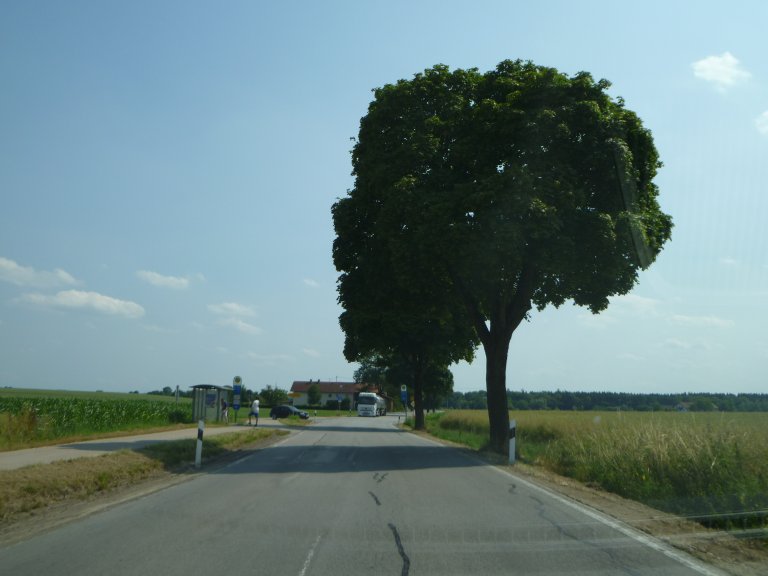 s137-0119 s137-0119