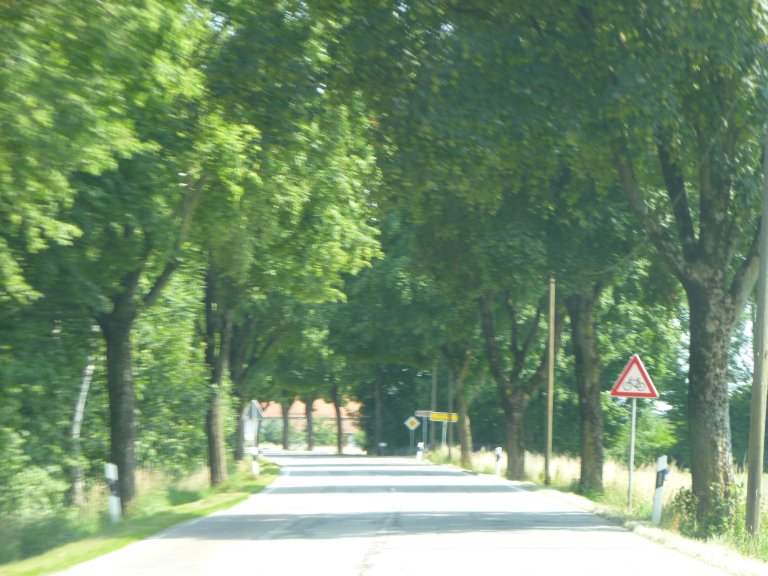 s137-0121 s137-0121