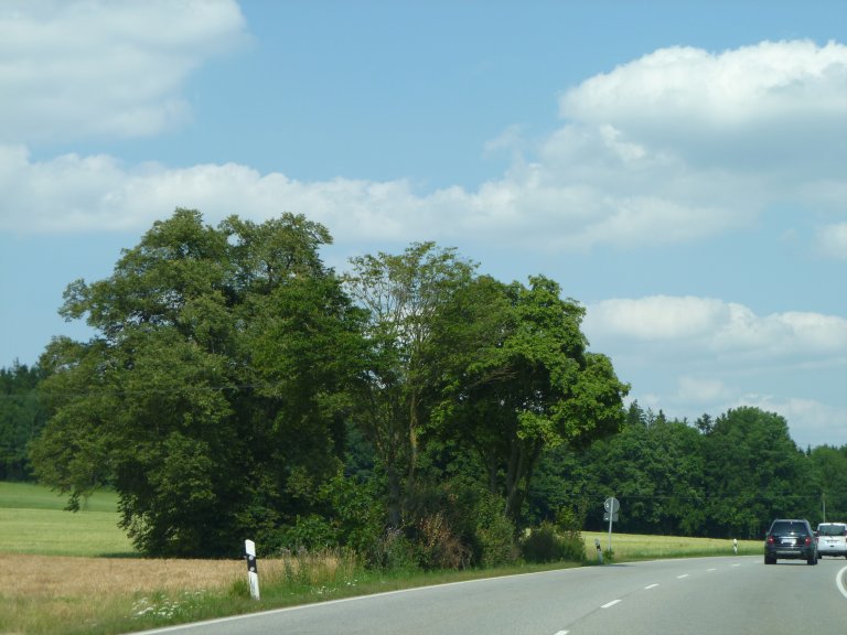 s137-0173 s137-0173