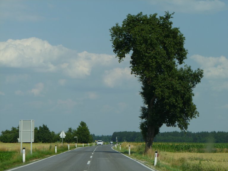 s137-0310 s137-0310