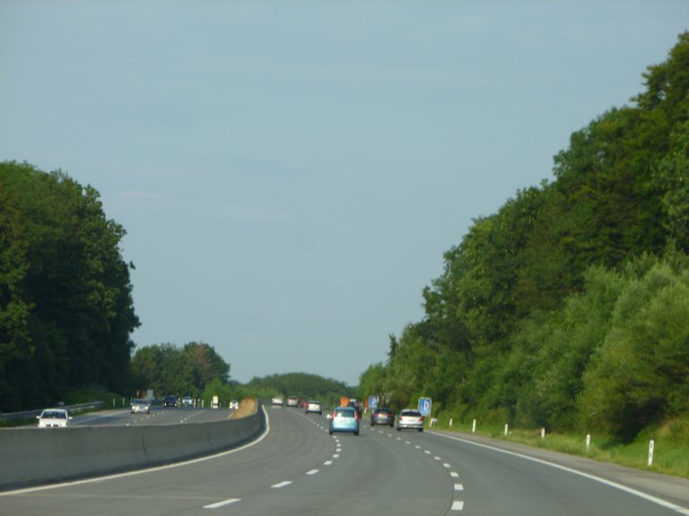 s137-0519 s137-0519