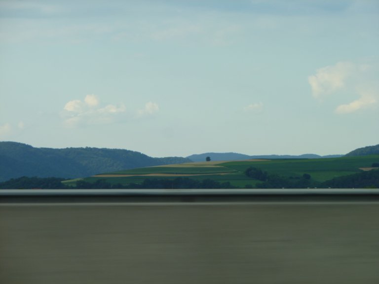 s137-0584 s137-0584