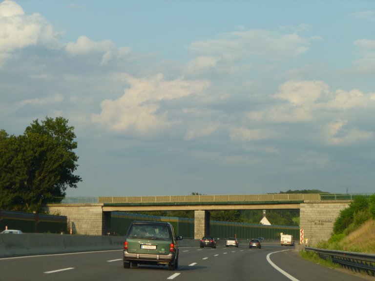 s137-0633 s137-0633