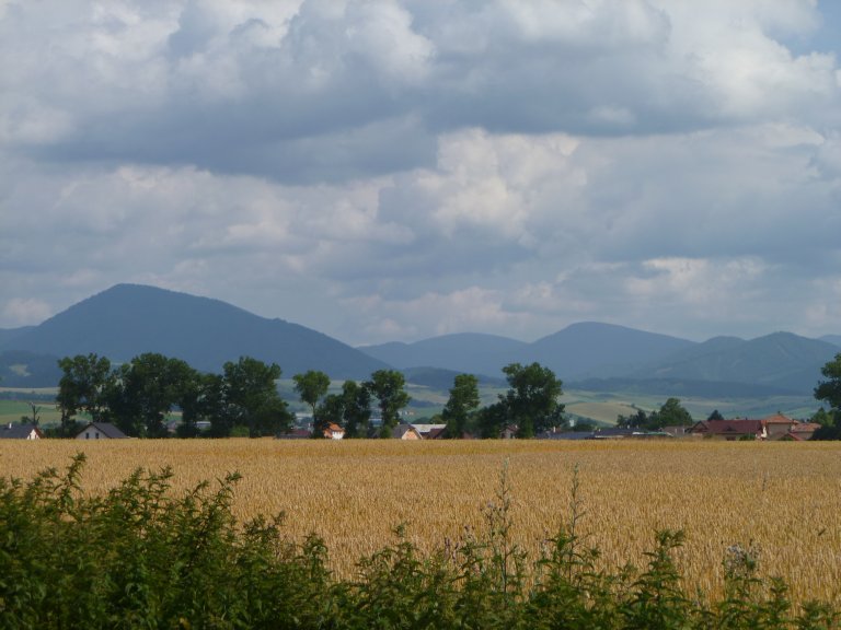 s137-0798 s137-0798