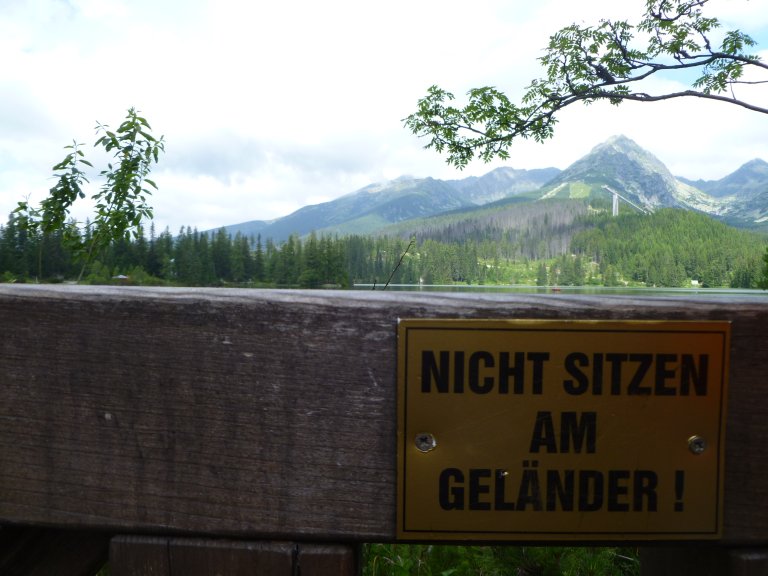 s137-0800 s137-0800