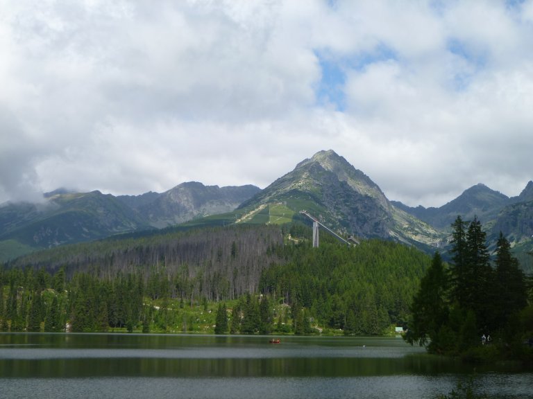 s137-0801 s137-0801