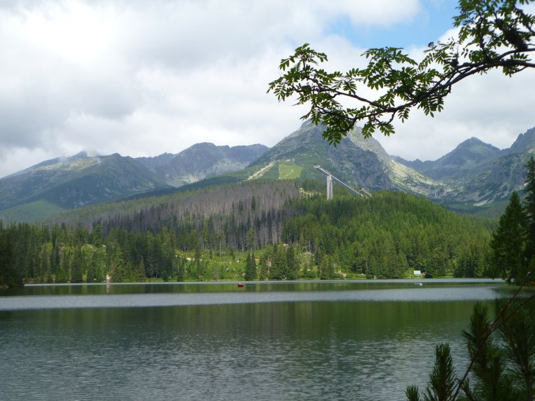 s137-0802 s137-0802