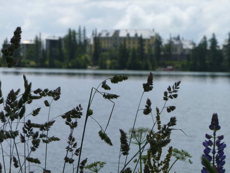 s137-0808 s137-0808
