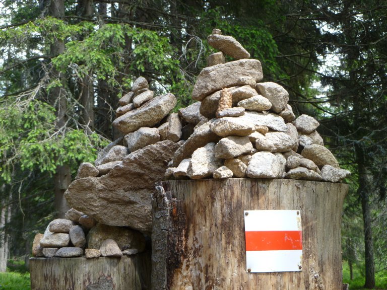 s137-0819 s137-0819