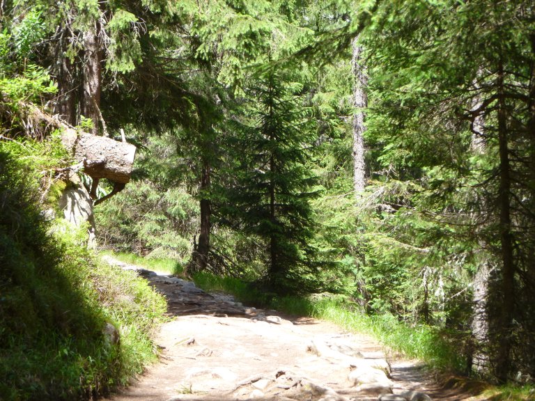 s137-0820 s137-0820
