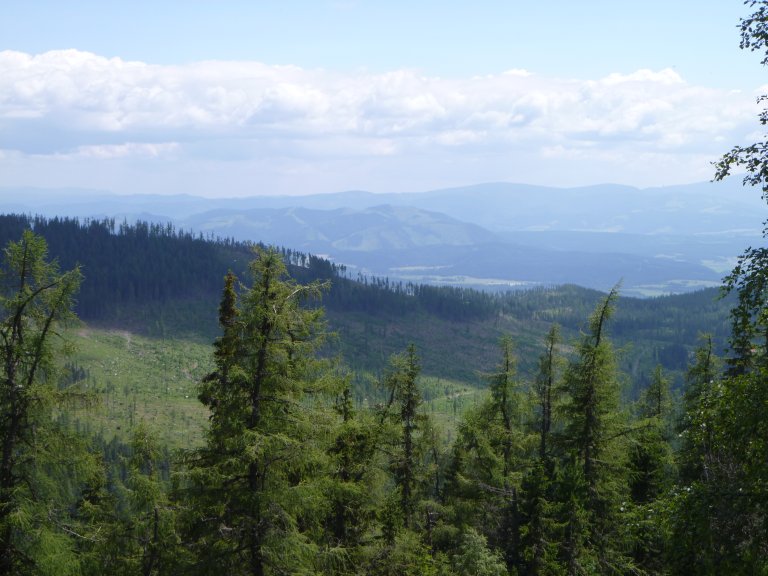 s137-0821 s137-0821