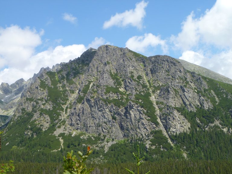 s137-0822 s137-0822