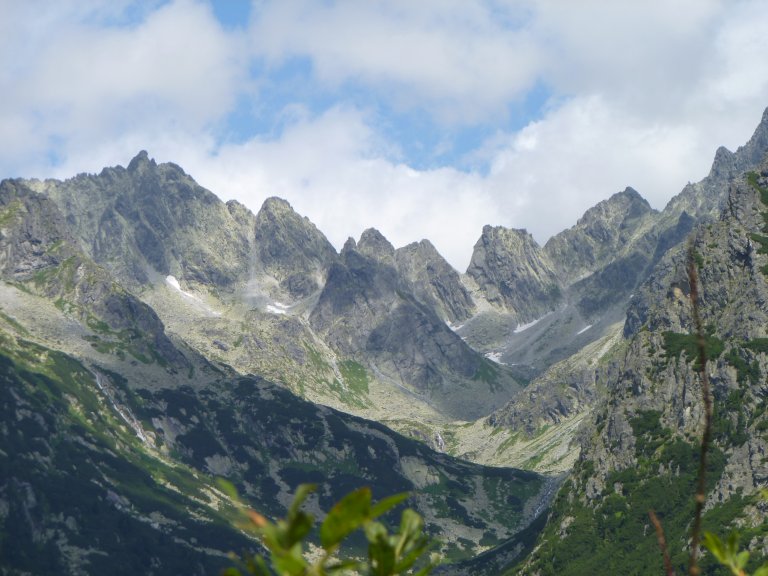 s137-0823 s137-0823