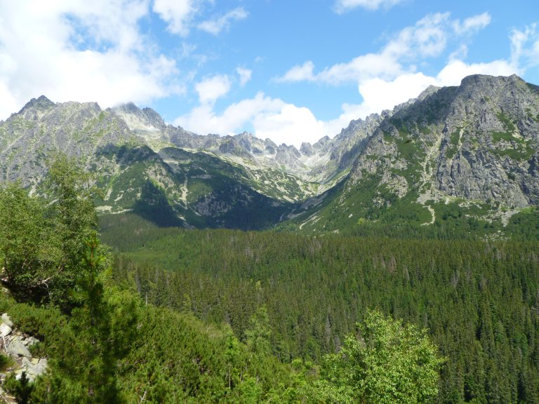 s137-0824 s137-0824