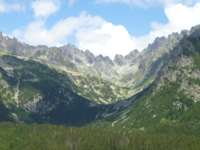 s137-0825 s137-0825