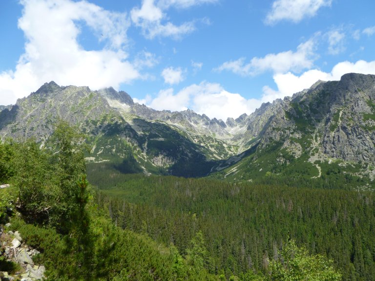 s137-0826 s137-0826