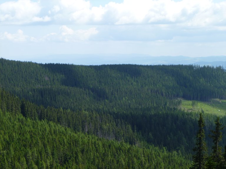 s137-0827 s137-0827
