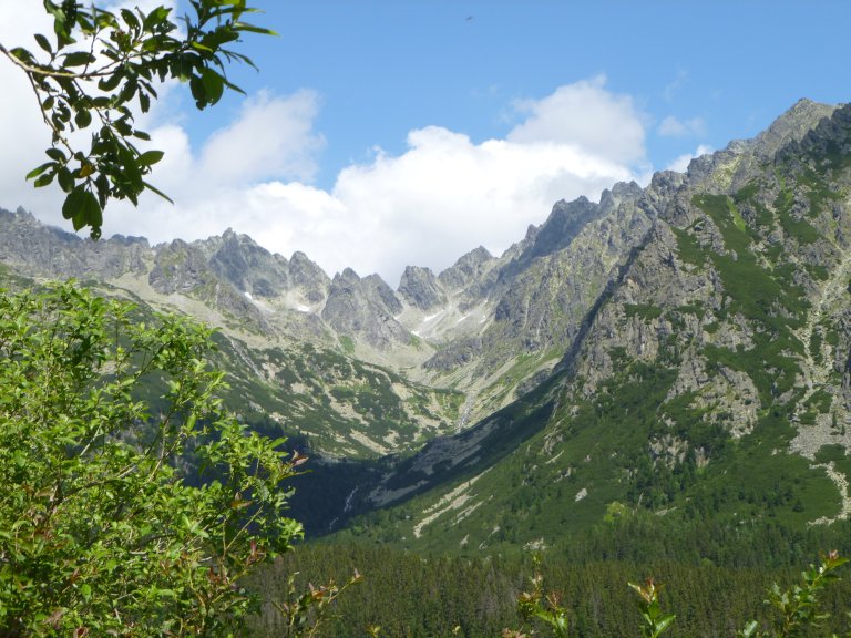 s137-0828 s137-0828