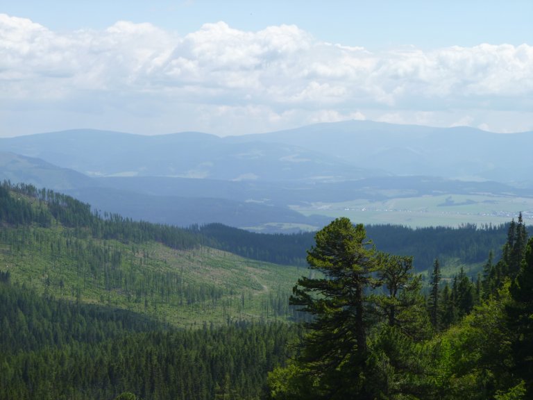 s137-0830 s137-0830