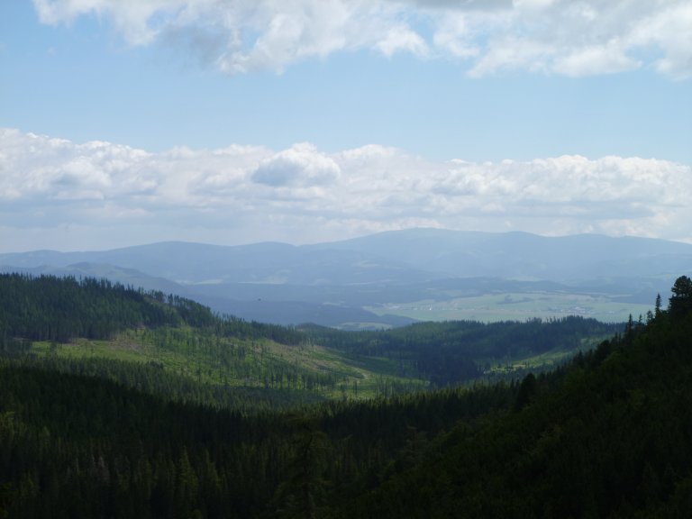 s137-0831 s137-0831