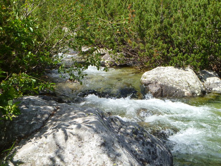 s137-0832 s137-0832