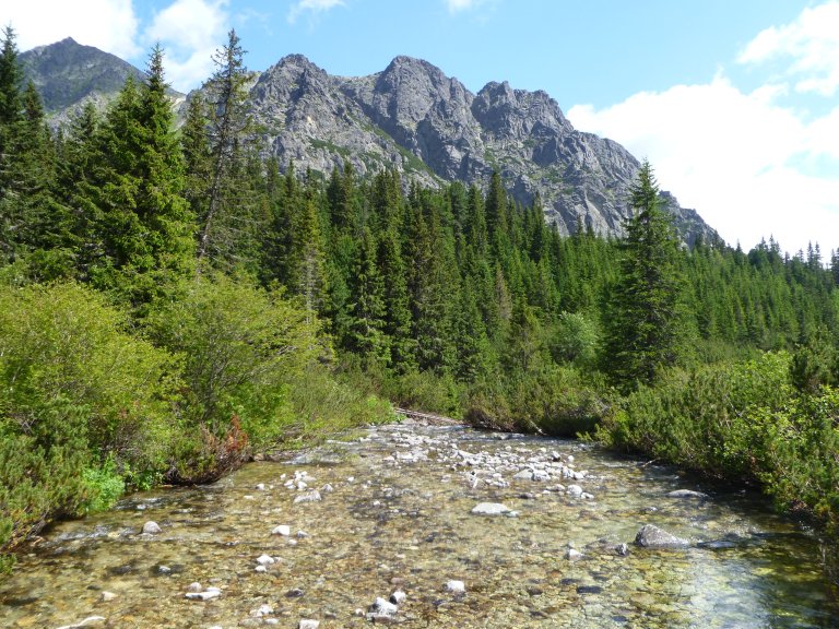 s137-0835 s137-0835