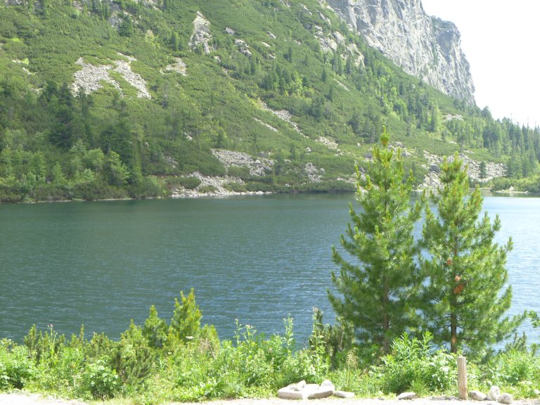 s137-0837 s137-0837