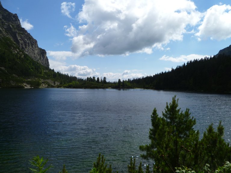 s137-0838 s137-0838