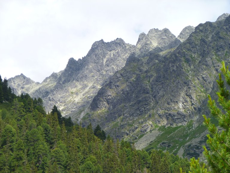 s137-0841 s137-0841