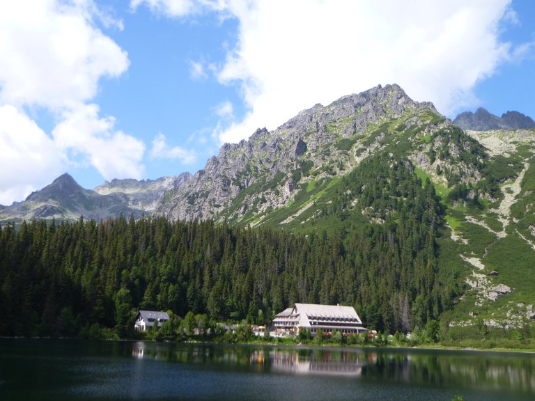 s137-0847 s137-0847