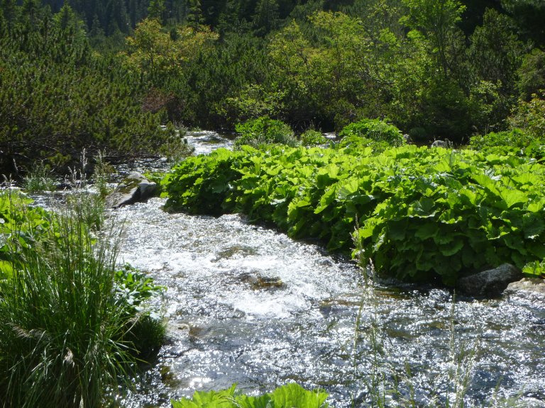 s137-0849 s137-0849