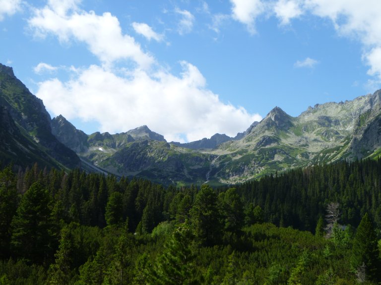 s137-0854 s137-0854