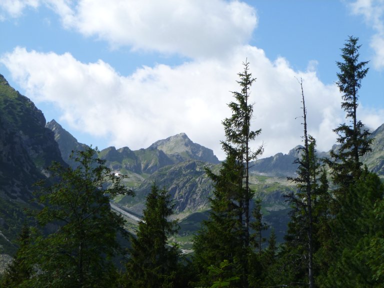 s137-0857 s137-0857