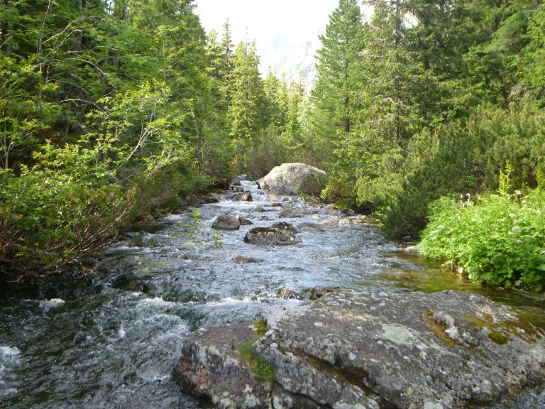 s137-0859 s137-0859