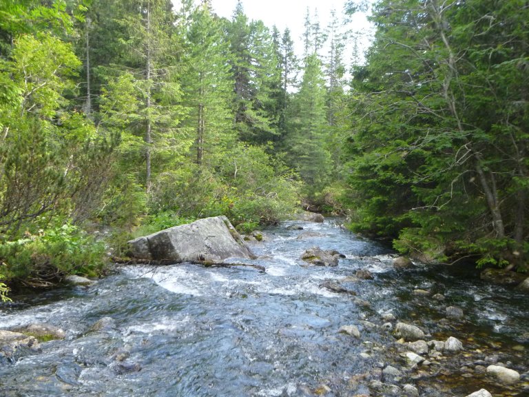 s137-0860 s137-0860