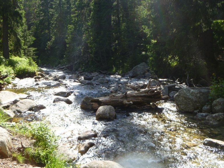 s137-0861 s137-0861