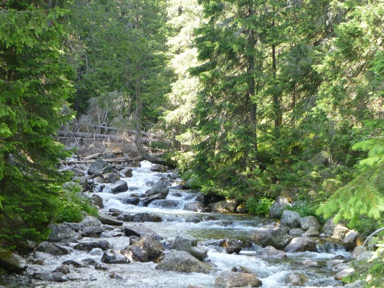 s137-0862 s137-0862