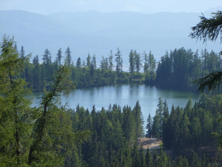 s137-0865 s137-0865