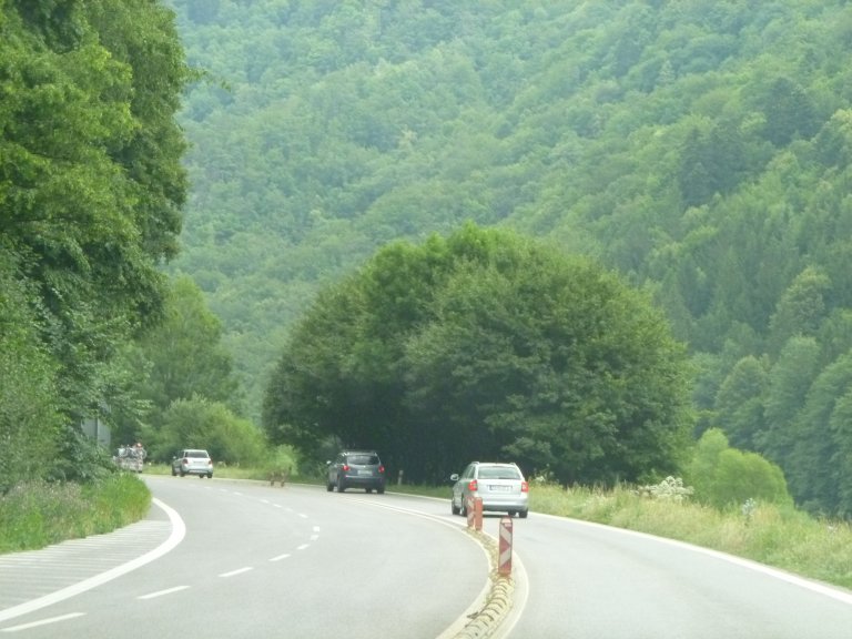 s137-0912 s137-0912