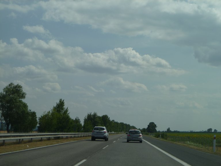 s137-1224 s137-1224