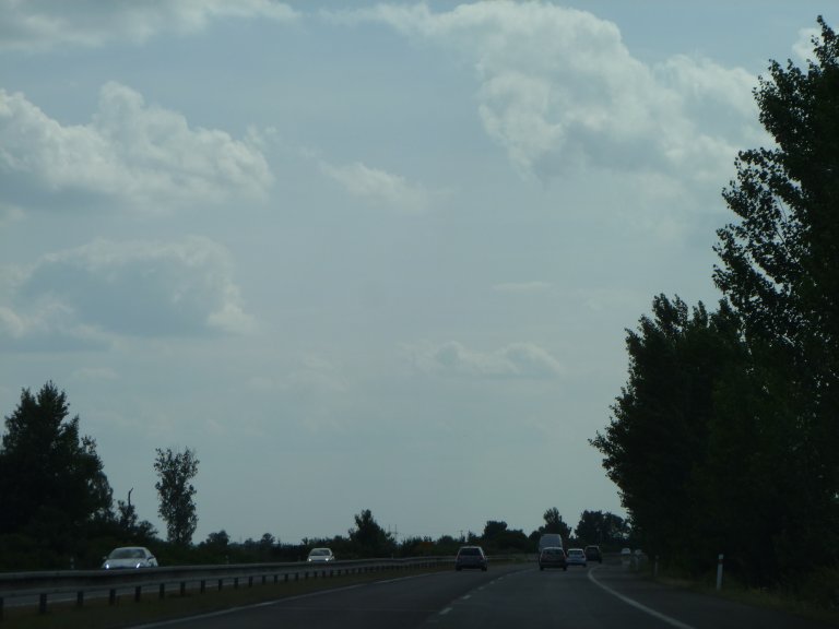 s137-1254 s137-1254