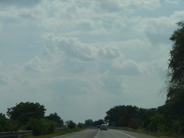 s137-1263 s137-1263
