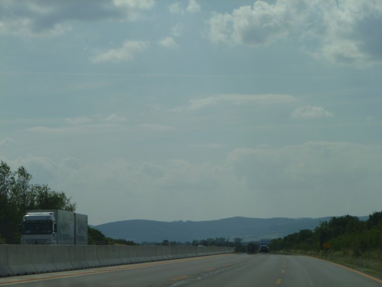 s137-1309 s137-1309