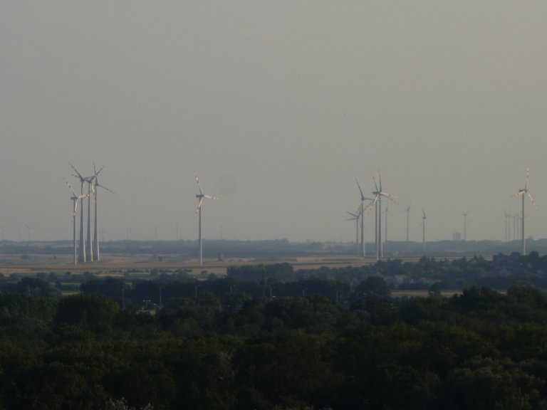 s137-1376 s137-1376