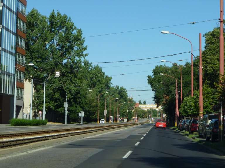 s137-1433 s137-1433