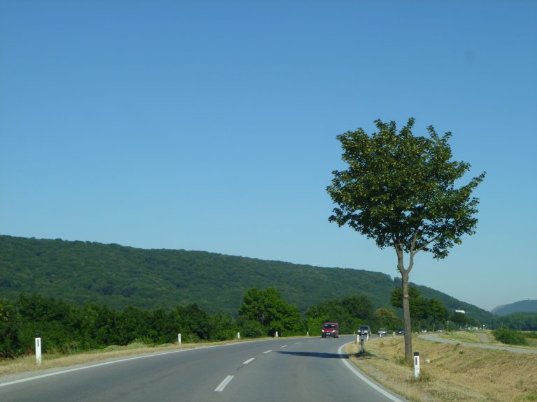 s137-1456 s137-1456